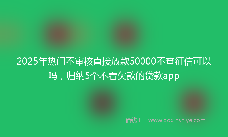 2025年热门不审核直接放款50000不查征信可以吗，归纳5个不看欠款的贷款app