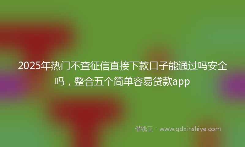 2025年热门不查征信直接下款口子能通过吗安全吗，整合五个简单容易贷款app
