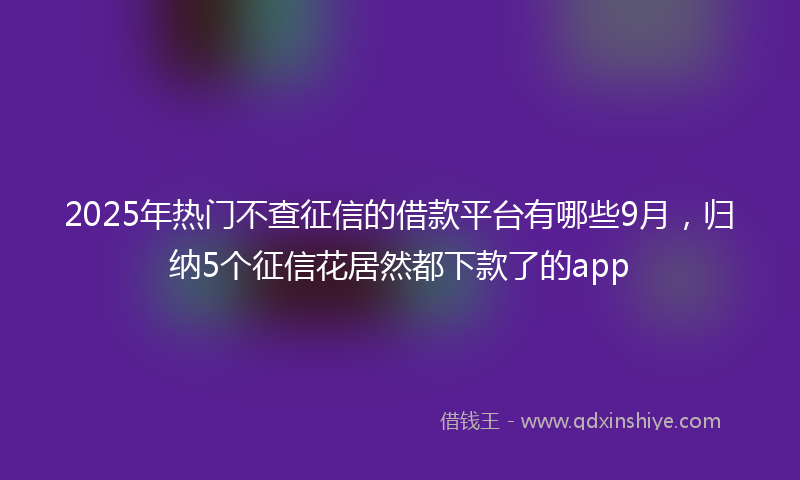 2025年热门不查征信的借款平台有哪些9月，归纳5个征信花居然都下款了的app