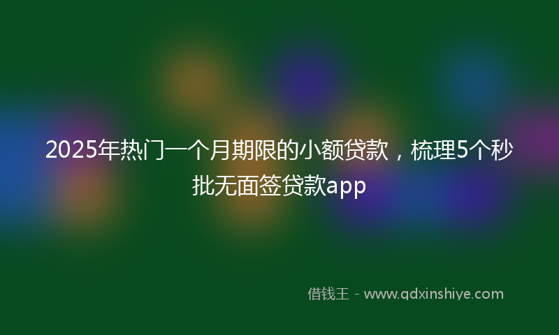 2025年热门一个月期限的小额贷款，梳理5个秒批无面签贷款app