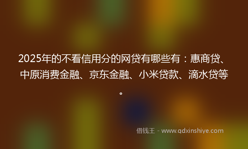 2025年的不看信用分的网贷有哪些有：惠商贷、中原消费金融、京东金融、小米贷款、滴水贷等。