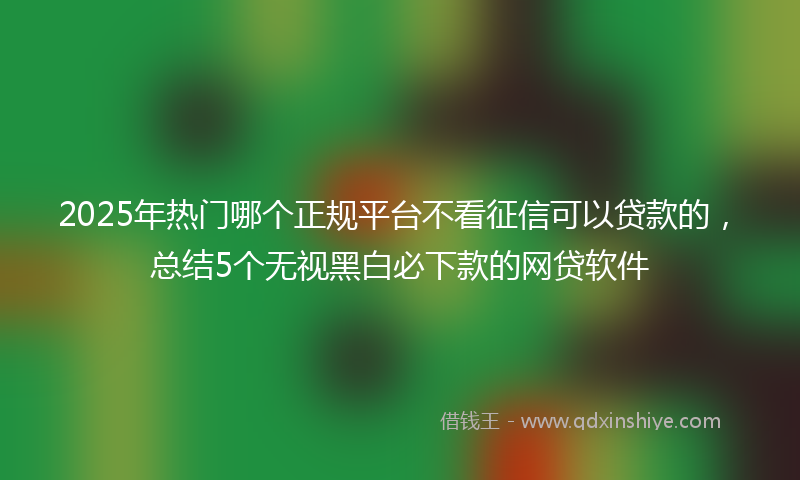 2025年热门哪个正规平台不看征信可以贷款的，总结5个无视黑白必下款的网贷软件