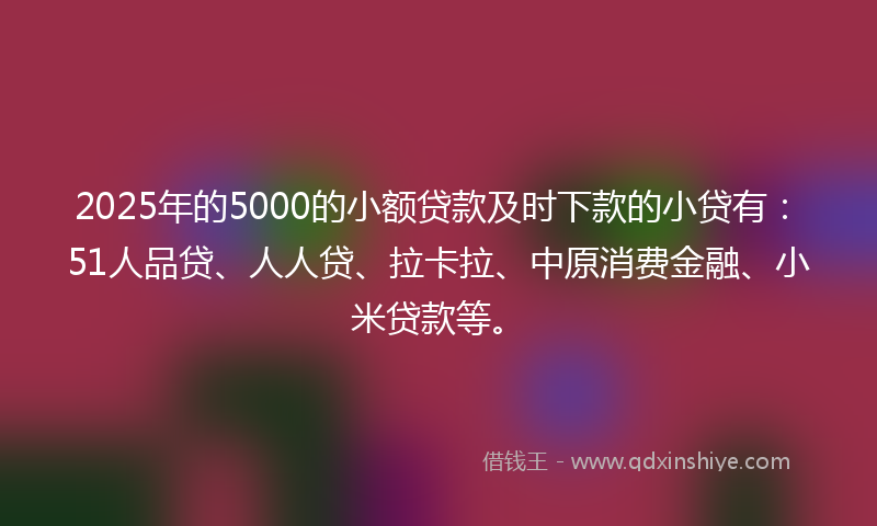 2025年的5000的小额贷款及时下款的小贷有：51人品贷、人人贷、拉卡拉、中原消费金融、小米贷款等。