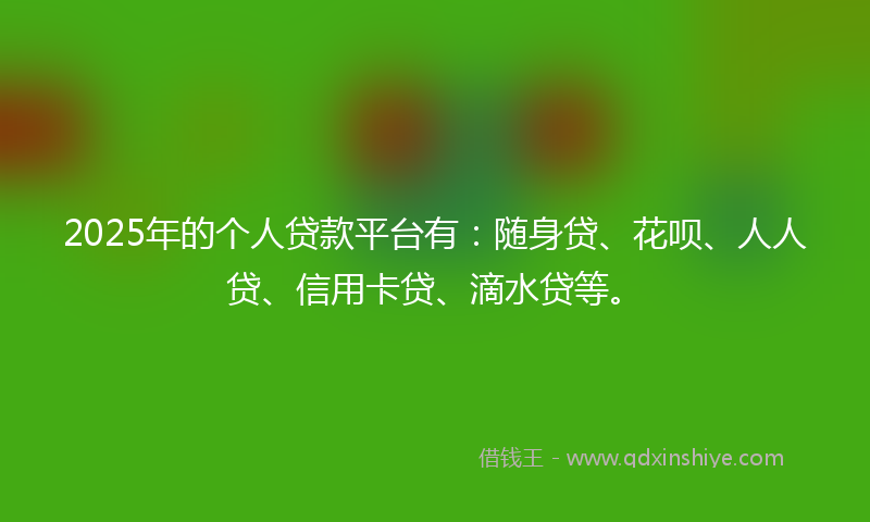2025年的个人贷款平台有：随身贷、花呗、人人贷、信用卡贷、滴水贷等。