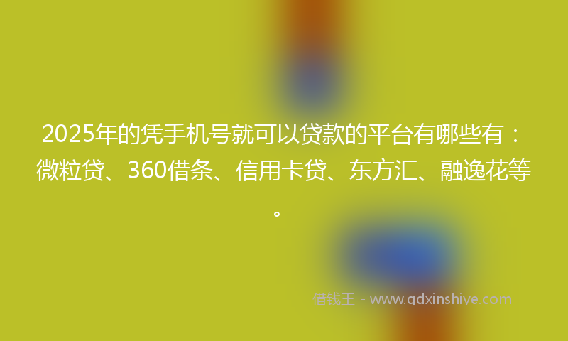 2025年的凭手机号就可以贷款的平台有哪些有：微粒贷、360借条、信用卡贷、东方汇、融逸花等。