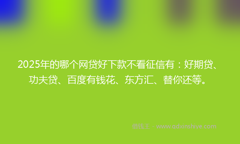 2025年的哪个网贷好下款不看征信有：好期贷、功夫贷、百度有钱花、东方汇、替你还等。