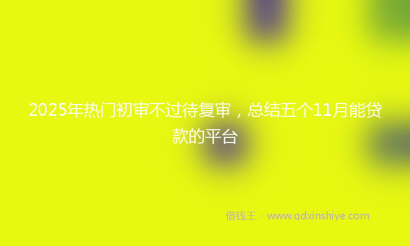 2025年热门初审不过待复审，总结五个11月能贷款的平台