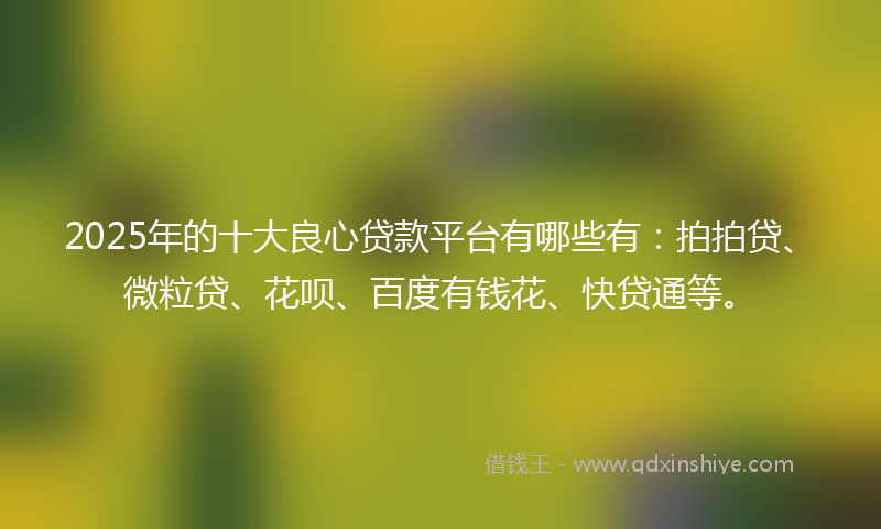 2025年的十大良心贷款平台有哪些有：拍拍贷、微粒贷、花呗、百度有钱花、快贷通等。
