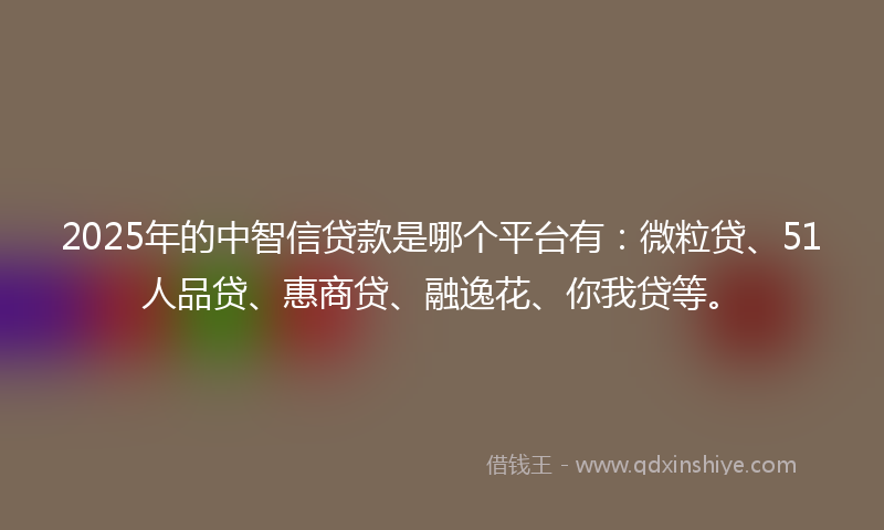2025年的中智信贷款是哪个平台有：微粒贷、51人品贷、惠商贷、融逸花、你我贷等。