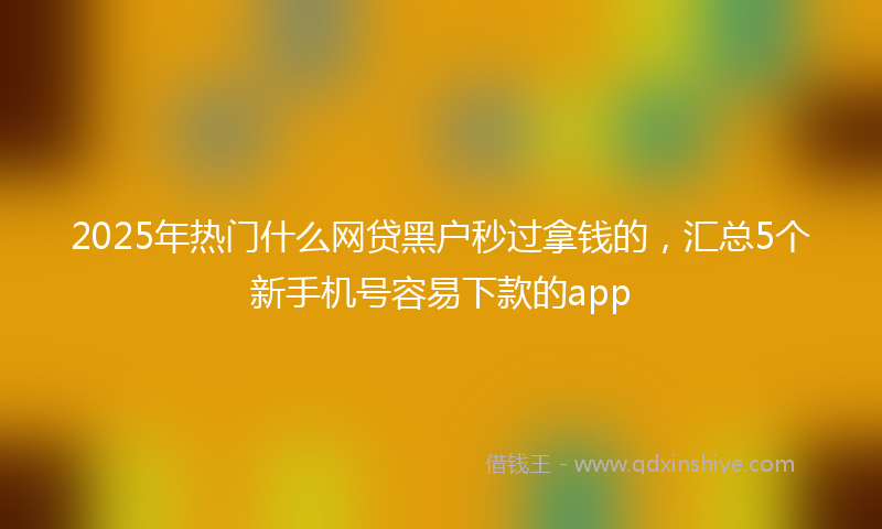 2025年热门什么网贷黑户秒过拿钱的，汇总5个新手机号容易下款的app