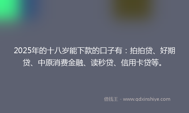 2025年的十八岁能下款的口子有：拍拍贷、好期贷、中原消费金融、读秒贷、信用卡贷等。