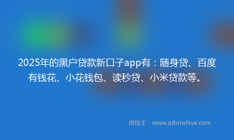 2025年的黑户贷款新口子app有：随身贷、百度有钱花、小花钱包、读秒贷、小米贷款等。