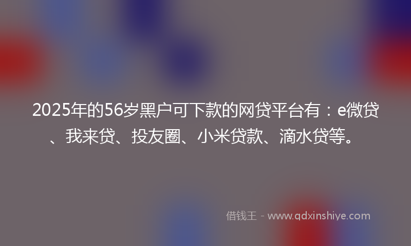 2025年的56岁黑户可下款的网贷平台有：e微贷、我来贷、投友圈、小米贷款、滴水贷等。