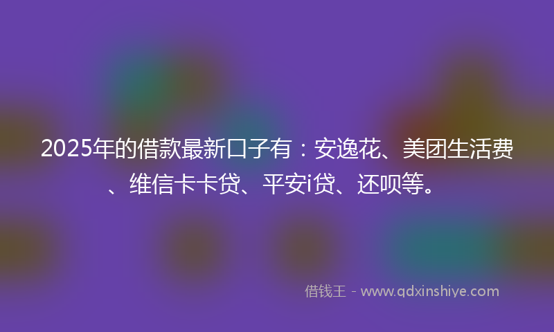 2025年的借款最新口子有：安逸花、美团生活费、维信卡卡贷、平安i贷、还呗等。