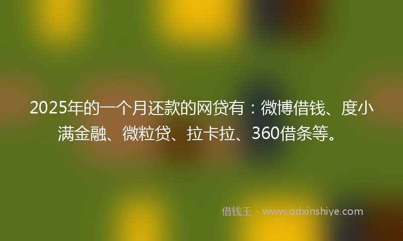 2025年的一个月还款的网贷有：微博借钱、度小满金融、微粒贷、拉卡拉、360借条等。