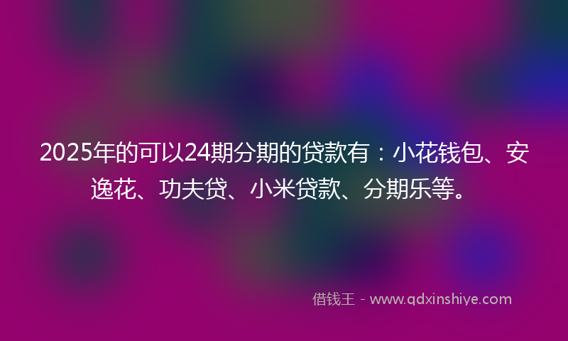 2025年的可以24期分期的贷款有：小花钱包、安逸花、功夫贷、小米贷款、分期乐等。