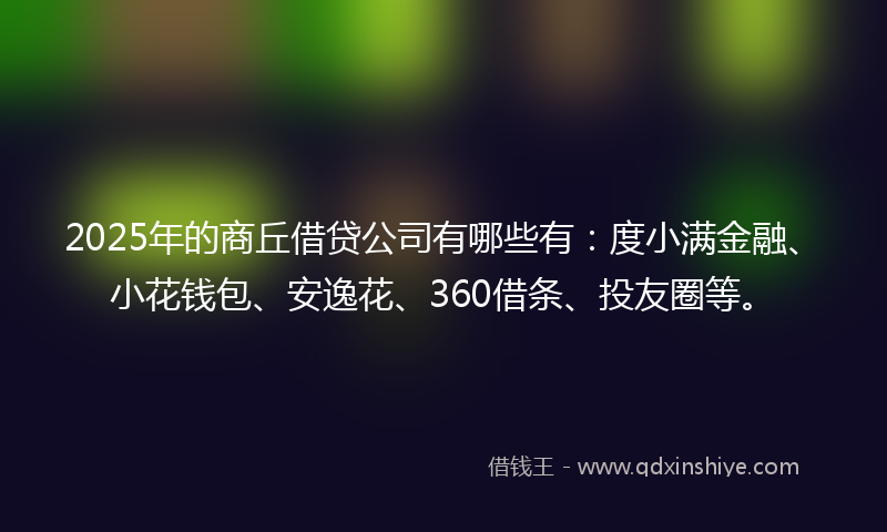 2025年的商丘借贷公司有哪些有：度小满金融、小花钱包、安逸花、360借条、投友圈等。