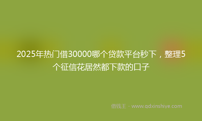 2025年热门借30000哪个贷款平台秒下，整理5个征信花居然都下款的口子