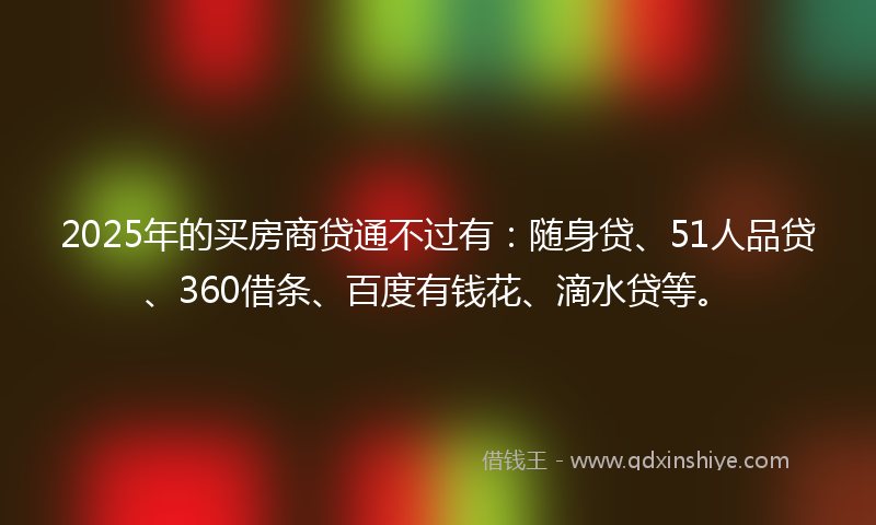 2025年的买房商贷通不过有：随身贷、51人品贷、360借条、百度有钱花、滴水贷等。