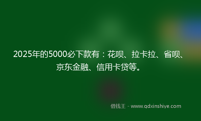 2025年的5000必下款有：花呗、拉卡拉、省呗、京东金融、信用卡贷等。