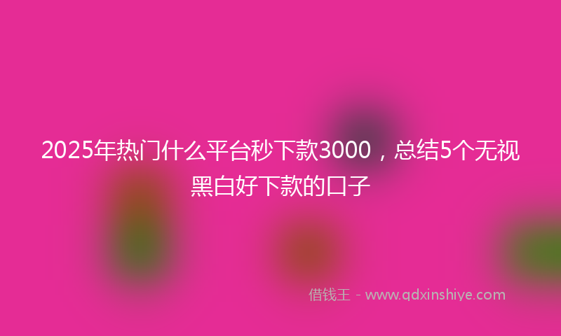 2025年热门什么平台秒下款3000，总结5个无视黑白好下款的口子