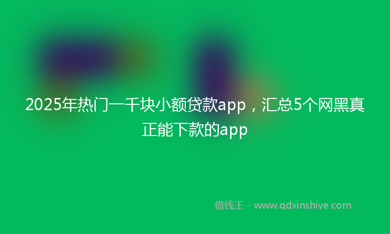 2025年热门一千块小额贷款app，汇总5个网黑真正能下款的app