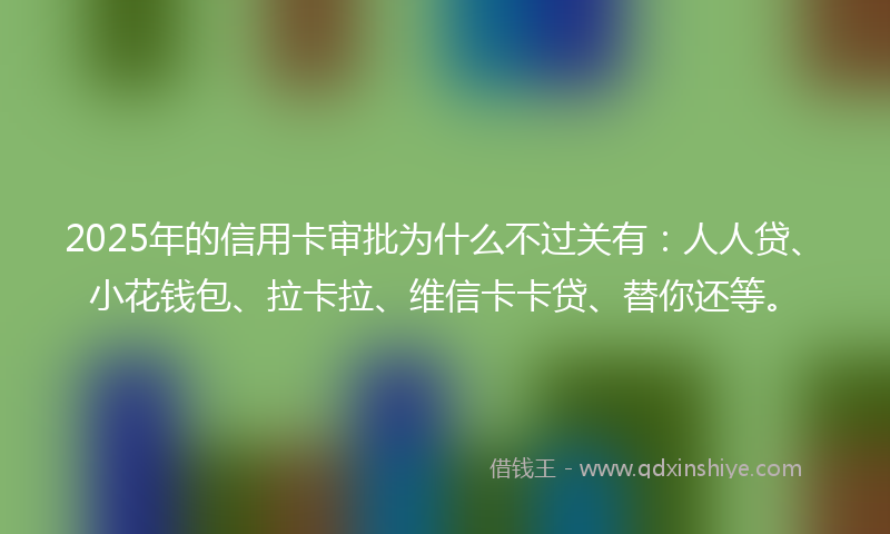 2025年的信用卡审批为什么不过关有：人人贷、小花钱包、拉卡拉、维信卡卡贷、替你还等。
