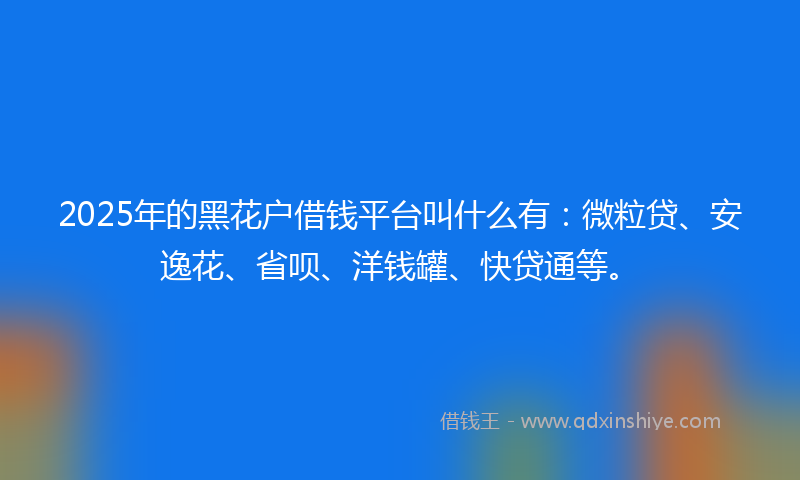 2025年的黑花户借钱平台叫什么有：微粒贷、安逸花、省呗、洋钱罐、快贷通等。