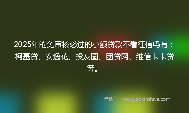 2025年的免审核必过的小额贷款不看征信吗有：柯基贷、安逸花、投友圈、团贷网、维信卡卡贷等。