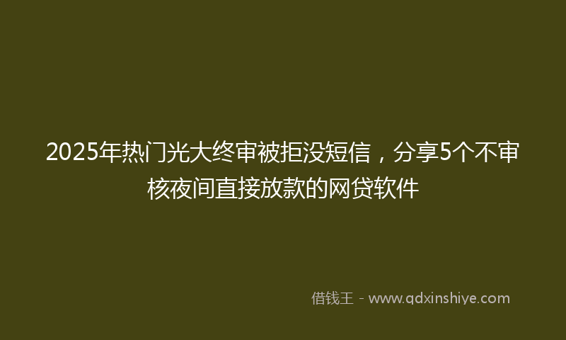 2025年热门光大终审被拒没短信，分享5个不审核夜间直接放款的网贷软件