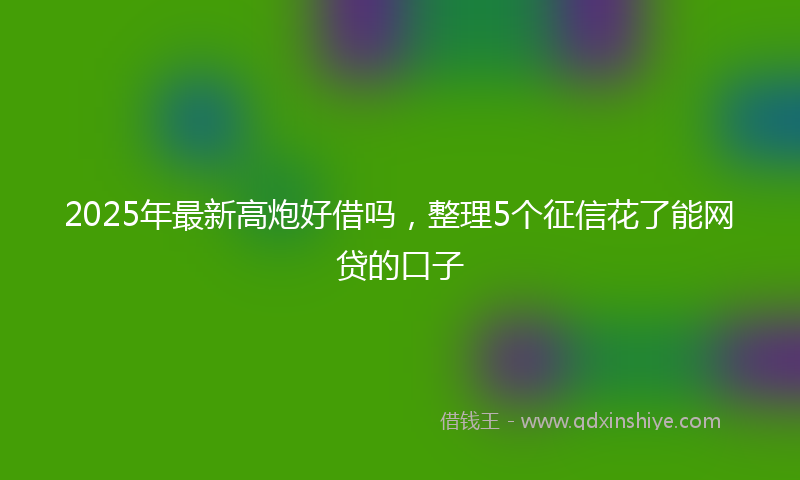 2025年最新高炮好借吗，整理5个征信花了能网贷的口子