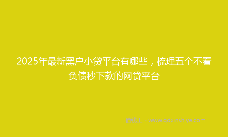 2025年最新黑户小贷平台有哪些，梳理五个不看负债秒下款的网贷平台
