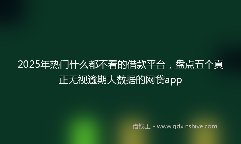 2025年热门什么都不看的借款平台，盘点五个真正无视逾期大数据的网贷app