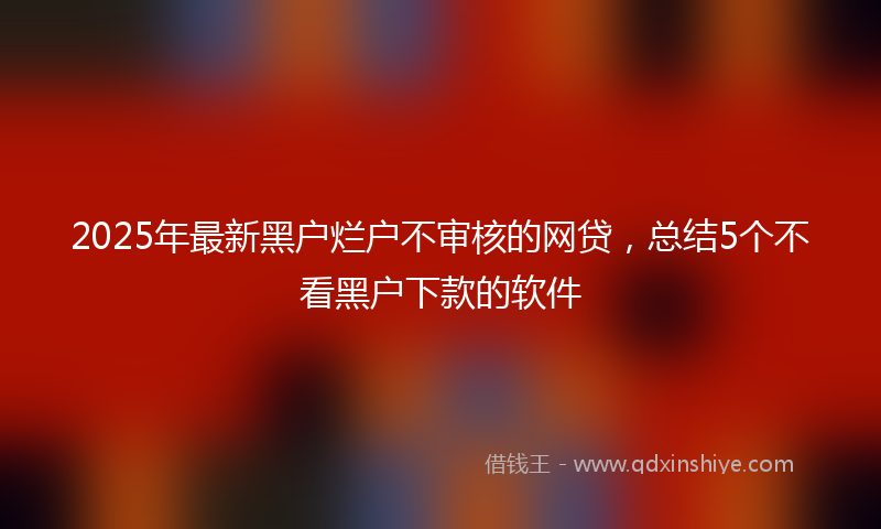 2025年最新黑户烂户不审核的网贷，总结5个不看黑户下款的软件
