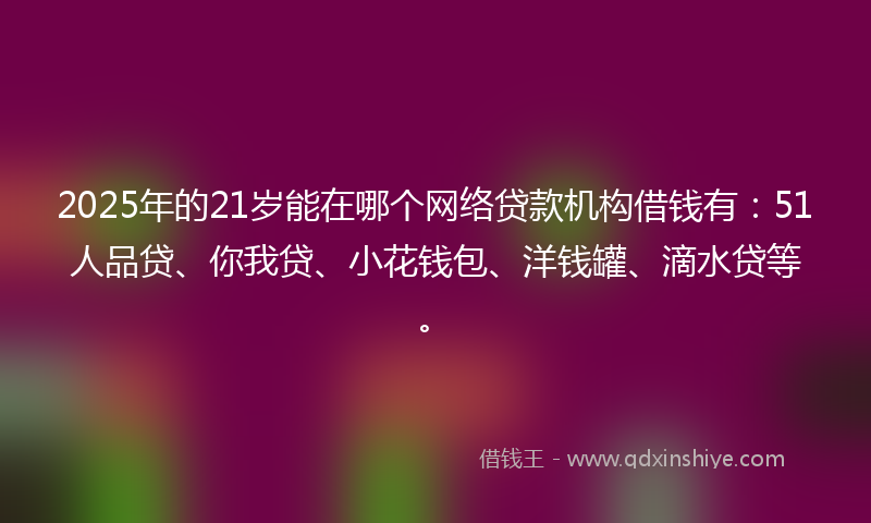 2025年的21岁能在哪个网络贷款机构借钱有：51人品贷、你我贷、小花钱包、洋钱罐、滴水贷等。