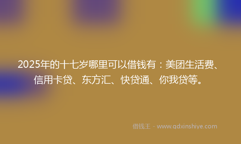 2025年的十七岁哪里可以借钱有：美团生活费、信用卡贷、东方汇、快贷通、你我贷等。