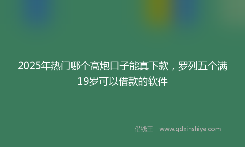 2025年热门哪个高炮口子能真下款，罗列五个满19岁可以借款的软件