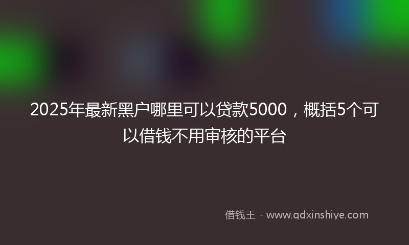 2025年最新黑户哪里可以贷款5000，概括5个可以借钱不用审核的平台