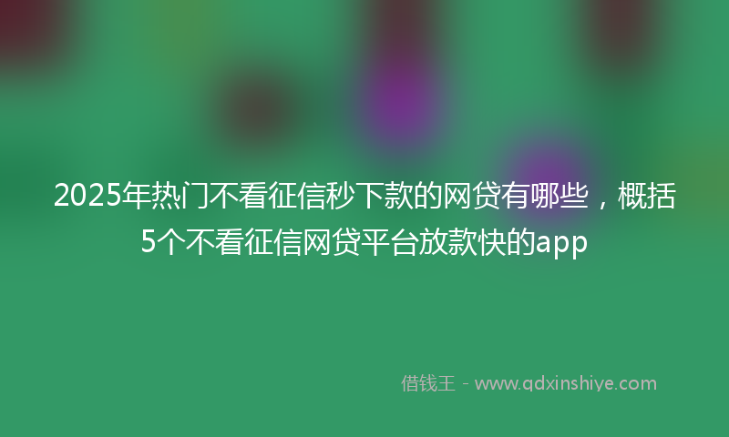 2025年热门不看征信秒下款的网贷有哪些，概括5个不看征信网贷平台放款快的app