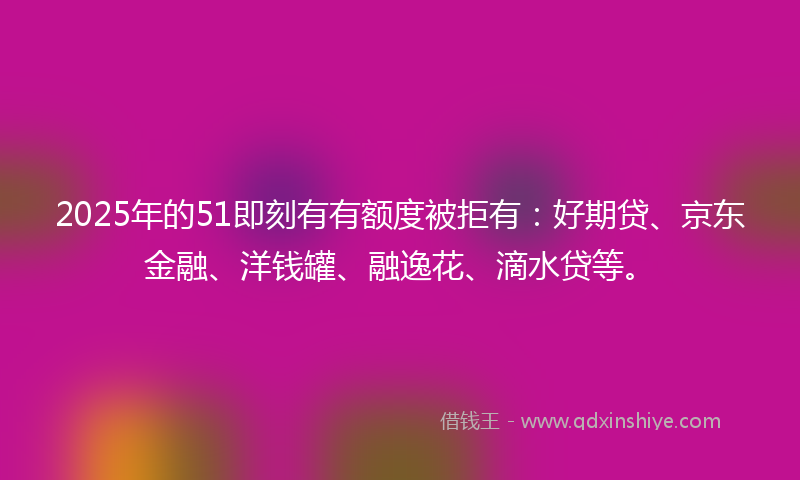 2025年的51即刻有有额度被拒有：好期贷、京东金融、洋钱罐、融逸花、滴水贷等。