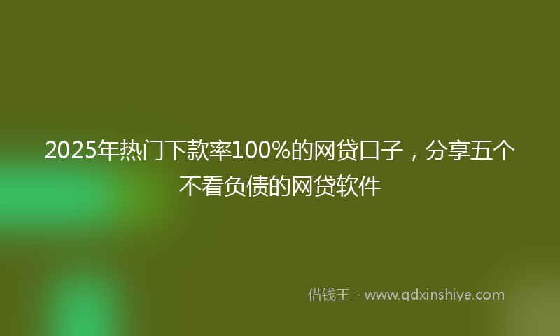 2025年热门下款率100%的网贷口子，分享五个不看负债的网贷软件