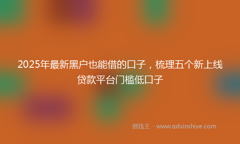 2025年最新黑户也能借的口子，梳理五个新上线贷款平台门槛低口子