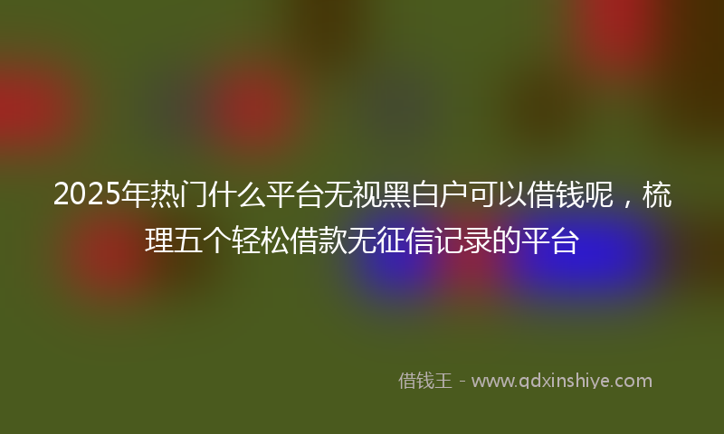 2025年热门什么平台无视黑白户可以借钱呢，梳理五个轻松借款无征信记录的平台
