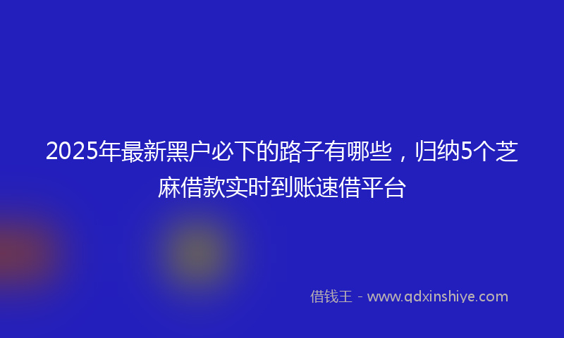 2025年最新黑户必下的路子有哪些，归纳5个芝麻借款实时到账速借平台