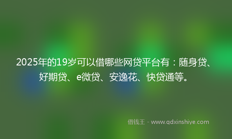2025年的19岁可以借哪些网贷平台有：随身贷、好期贷、e微贷、安逸花、快贷通等。