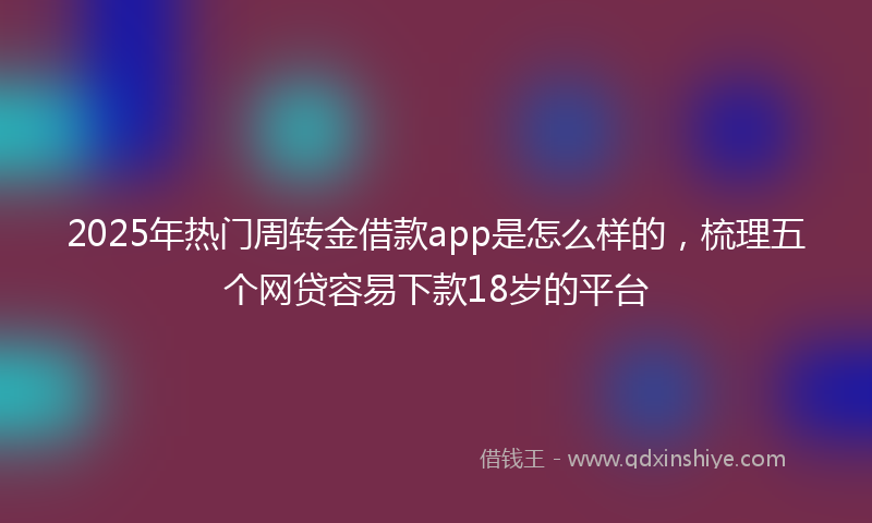 2025年热门周转金借款app是怎么样的，梳理五个网贷容易下款18岁的平台
