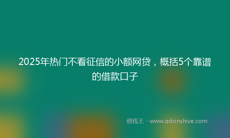 2025年热门不看征信的小额网贷，概括5个靠谱的借款口子