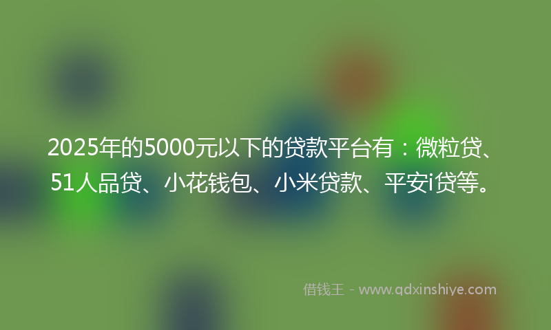 2025年的5000元以下的贷款平台有：微粒贷、51人品贷、小花钱包、小米贷款、平安i贷等。