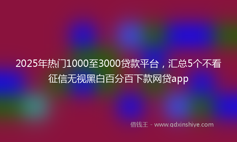 2025年热门1000至3000贷款平台，汇总5个不看征信无视黑白百分百下款网贷app