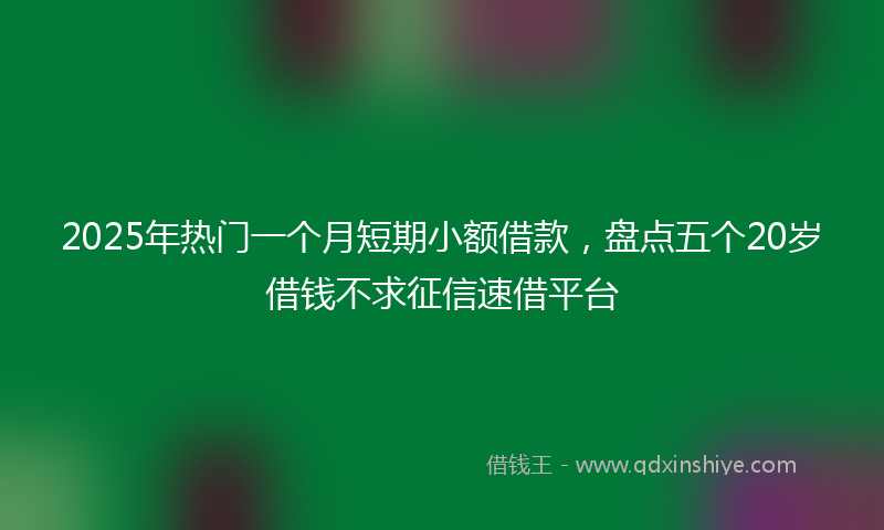 2025年热门一个月短期小额借款，盘点五个20岁借钱不求征信速借平台